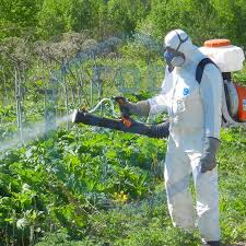 Травля насекомых в Новосибирске 0