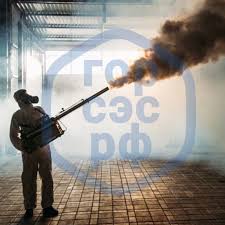 Травля насекомых в Новосибирске 0